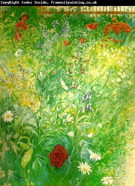 Carl Larsson blommor-sommarblommor